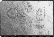 Abb. 5a Stark vergrößerte (480:1) Abbildung der Spuren von Elementarteilchen: Zerfall eines Mikroteilchens rechts; links Blasenbildung, was oft in unserem Experiment zu sehen war (siehe auch [10], Fig. 15)